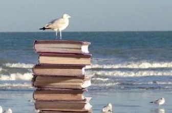 Goéland et livres