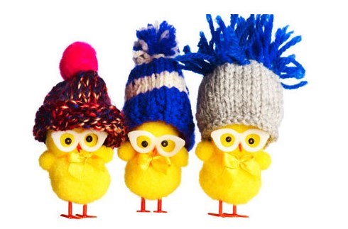 Poussins